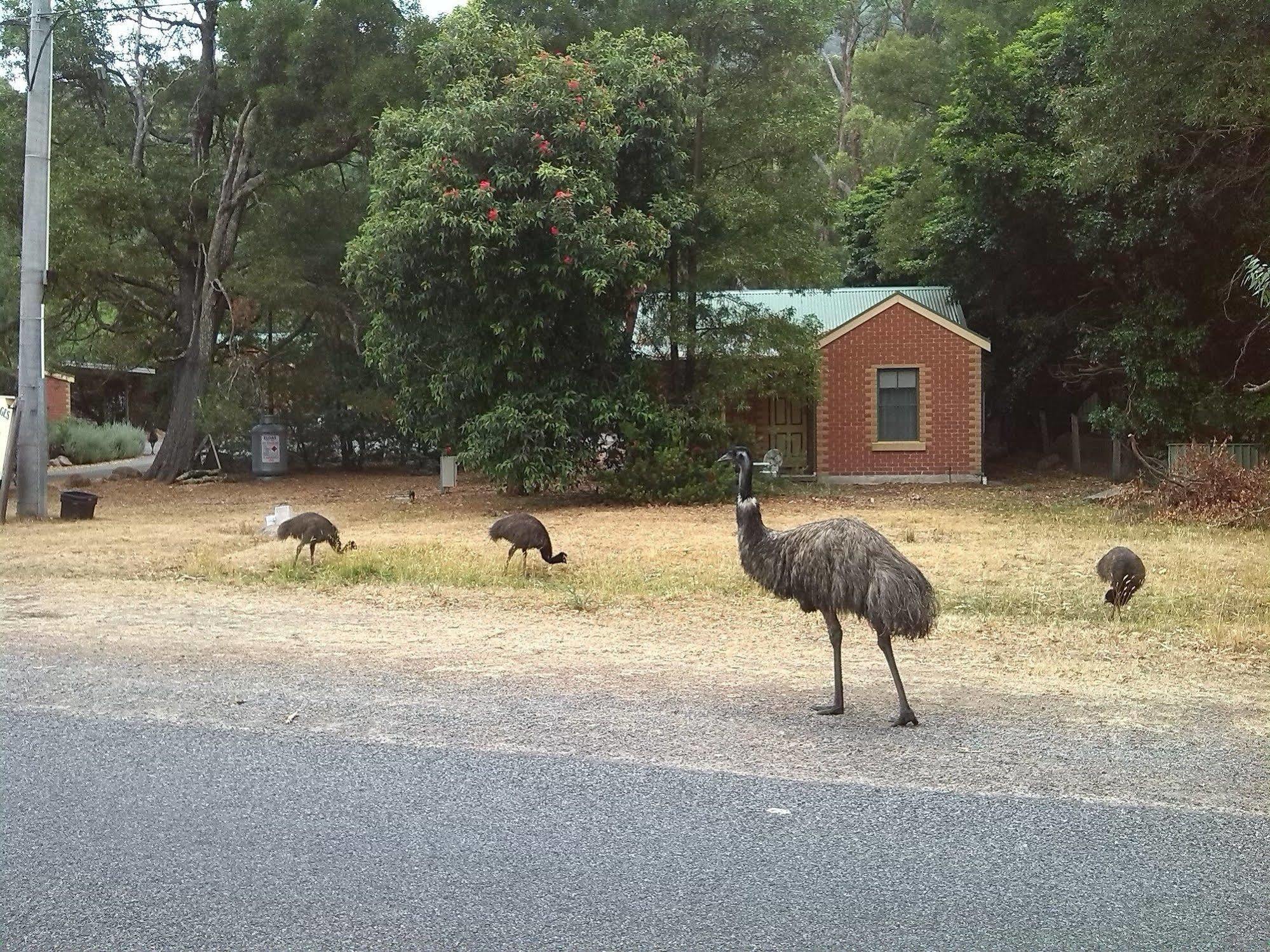 Heatherlie Cottages Halls Gap Zewnętrze zdjęcie